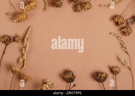 Kartenmodell, Herbstrahmen aus getrockneten Blumen, brauner Hintergrund mit Kopierbereich. Flach. Leere Grußkartenvorlage Stockfoto