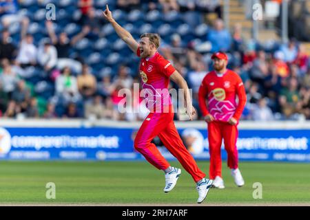 Sophia Gardens, Cardiff, Großbritannien. 14. Aug. 2023. The Hundert Mens Cricket, Welsh Fire gegen Trent Rockets; Welsh Fire's David Willey nimmt ein frühes Wicket. Kredit: Action Plus Sports/Alamy Live News Stockfoto