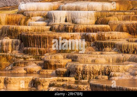 Die Terrasse der Kanarischen Quellen ist im Yellowstone NP aus heißem Wasser geformt Stockfoto