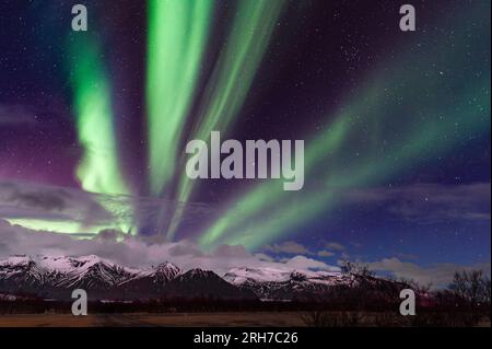 In der Nähe von Kirkjubæjarklaustur, Süd-Island - der Nachthimmel mit einer spektakulären Darstellung der Nordlichter (Aurora Borealis) Stockfoto