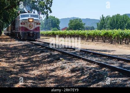 Choo Choo, Weinverkostungen durch die Weinberge des Napa Valley. Stockfoto