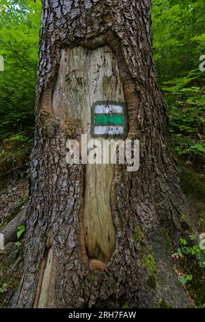 In der Tschechischen republik verwendete Touristenschilder. Y auf Baum-, Stein- oder Betonpfahl. Eine der besten Marken der Welt. Stockfoto