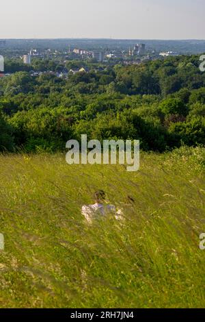 Blick vom Tippelsberg nach Nordosten, über Bochum, Wälder, Felder, im Hintergrund das Stadtzentrum von Herne, NRW, Deutschland, Stockfoto