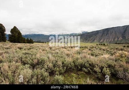 Mammoth Hot Springs vom Beaver Ponds Trail, Yellowstone National Park, Vereinigte Staaten. Stockfoto