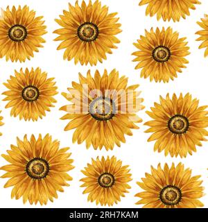 Nahtloses Muster mit hellen Sonnenblumen auf weißem Hintergrund, handgezeichnete Aquarellzeichnung. Für Postkarten, Grußkarten, Textilien. Stockfoto