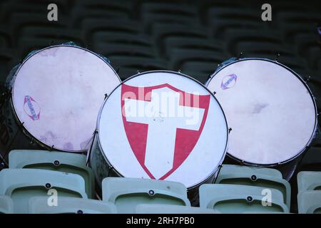 Sao Paulo, Brasilien. 14. Aug. 2023. SP - SAO PAULO - 08/14/2023 - BRAZILEIRO A 2023, PALMEIRAS X CRUZEIRO - Palmeiras Fans während eines Spiels gegen Cruzeiro im Arena Allianz Parque Stadion für die brasilianische Meisterschaft A 2023. Foto: Ettore Chiereguini/AGIF/Sipa USA Guthaben: SIPA USA/Alamy Live News Stockfoto