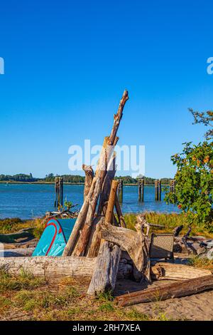 Kleines Zelt und Stuhl mit Treibholz am Ufer der Fraser River Mündung in Richmond British Columbia Kanada Stockfoto