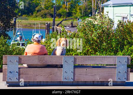 Hund und Besitzer ruhten sich auf einer Holzbank in Richmond, British Columbia, Kanada Stockfoto