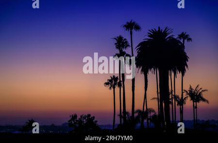 Palmen und Luxushäuser über dem Pazifik bei Sonnenuntergang am Inspiration Point in Corona del Mar, Newport Beach, einem berühmten Reiseziel in Kalifornien Stockfoto
