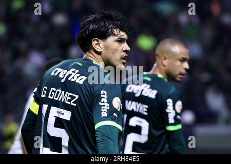 Sao Paulo, Brasilien. 14. Aug. 2023. SP - SAO PAULO - 08/14/2023 - BRAZILEIRO A 2023, PALMEIRAS X CRUZEIRO - Palmeiras-Spieler während eines Spiels gegen Cruzeiro im Arena Allianz Parque Stadion für die brasilianische Meisterschaft A 2023. Foto: Marcello Zambrana/AGIF/Sipa USA Kredit: SIPA USA/Alamy Live News Stockfoto