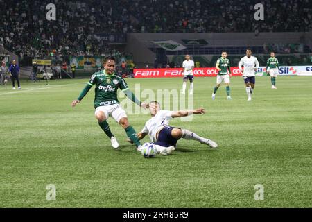 Sao Paulo, Sao Paulo, Brasilien. 14. Aug. 2023. Sao Paulo (SP), 08/14/2023 - BRAZILEIRO/PALMEIRAS X CRUZEIRO - Spiel zwischen Palmeiras und Cruzeiro, gültig für die 19. Runde der brasilianischen Fußballmeisterschaft 2023 im Allianz Parque im Westen von Sao Paulo am Abend dieses Montag, den 14. August 2023. (Kreditbild: © Fabricio Bomjardim/TheNEWS2 via ZUMA Press Wire) NUR REDAKTIONELLE VERWENDUNG! Nicht für den kommerziellen GEBRAUCH! Stockfoto