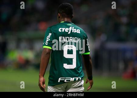 Sao Paulo, Brasilien. 14. Aug. 2023. Endrick während eines Spiels zwischen Palmeiras und Cruzeiro im Allianz Parque in Sao Paulo, Brasilien (Fernando Roberto/SPP) Kredit: SPP Sport Press Photo. Alamy Live News Stockfoto