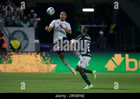 Sao Paulo, Brasilien. 14. Aug. 2023. Während eines Spiels zwischen Palmeiras und Cruzeiro im Allianz Parque in Sao Paulo, Brasilien (Fernando Roberto/SPP). Guthaben: SPP Sport Press Photo. Alamy Live News Stockfoto