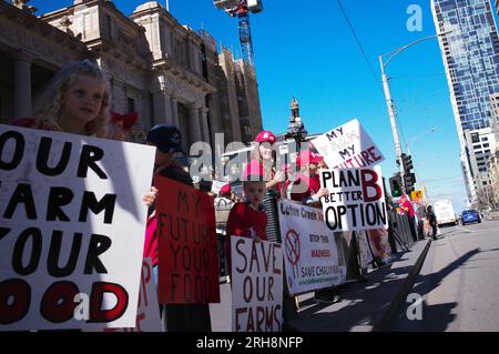 Victoria, Australien. 15. Aug. 2023. 45-Traktoren und andere landwirtschaftliche Fahrzeuge machen Schleifen des Melbourne CBD, während Bauern und Mitglieder der Bauerngemeinde auf den vorderen Stufen des Parlaments in Victoria protestieren. Kredit: Joshua Preston/Alamy Live News Stockfoto