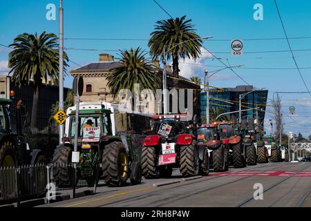 Victoria, Australien. 15. Aug. 2023. 45-Traktoren und andere landwirtschaftliche Fahrzeuge machen Schleifen des Melbourne CBD, während Bauern und Mitglieder der Bauerngemeinde auf den vorderen Stufen des Parlaments in Victoria protestieren. Kredit: Joshua Preston/Alamy Live News Stockfoto