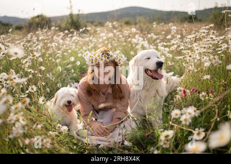 Weibliche Hunde Wiesen-Kamille. Die Frau umarmt ihre pelzigen Freunde auf einem ruhigen Kamillenfeld, umgeben von üppigem Grün. Ein herzerwärmendes Liebesbeweis Stockfoto
