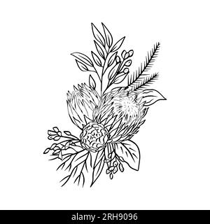 Einfarbige tropische protea-Blüten und Blattstrauß Stock Vektor