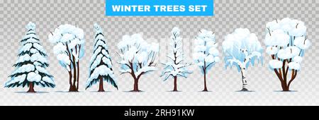 Winterbäume von Laub- und Nadelarten mit schneebedeckten Zweigen, transparente Darstellung des Setzvektors Stock Vektor
