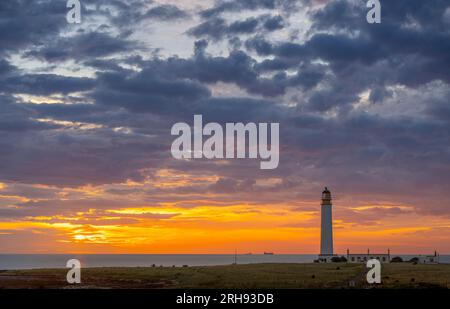 Dunbar, Großbritannien. 14. August 2023 UK Weather, Sunrise Fist Light as the Dämmerung bricht und die Sonne hinter dem Leuchtturm Barns Ness aufgeht, in der Nähe von Dunbar, East Lothian, Schottland. Der Leuchtturm Barns Ness ist 3,1 Meilen (5 km) von Dunbar entfernt und wurde von den Ingenieuren und Brüdern David A. Stevenson und Charles Alexander Stevenson,[1] Cousins des Schriftstellers Robert Louis Stevenson, zwischen 1899 und 1901 von einem Leuchtturmwärter bis 1986 errichtet. als es elektrisiert wurde. Bild: Phil Wilkinson/Alamy Live News Stockfoto