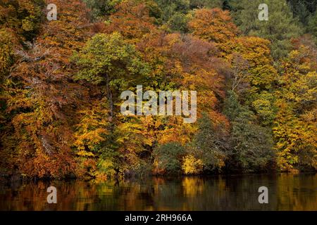 River Gary; in der Nähe von Linn of Tummel; Herbst; Schottland; Vereinigtes Königreich Stockfoto