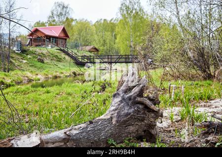Ein alter gefallener Baum mit krummen Ästen in einem Dorf Stockfoto