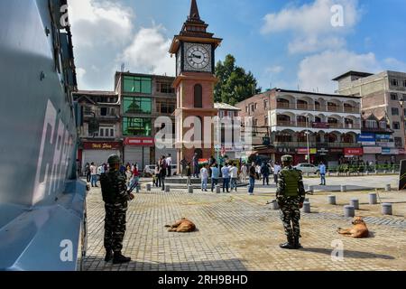Paramilitärische Soldaten sind wachsam, da nicht-Einheimische während des Indiens Unabhängigkeitstag 77. in Srinagar die indische Nationalflagge halten. Stockfoto