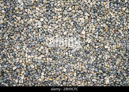 Pfad aus Kieselsteinen. Hintergrund von kleinen Steinen. Stockfoto
