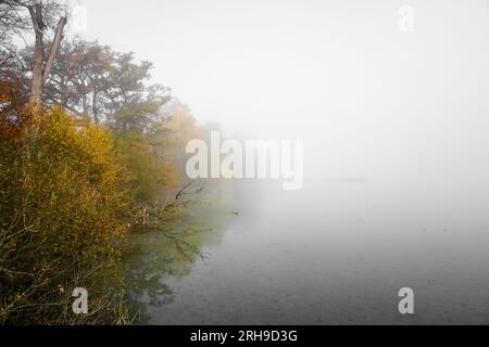Nebelhafter Morgen am See. Mystische Landschaft im Nebel. Stockfoto