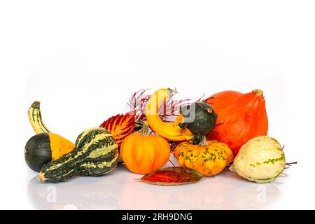 Kollektion von Riffeln auf weißem Hintergrund mit Kopierbereich. Herbst, halloween und Thanksgiving Still Life Dekor Stockfoto