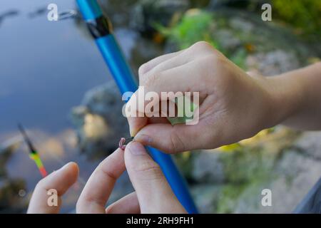 Nahaufnahme der Hände eines Teenagers, der Köder auf einen Angelhaken legt Sportfischen auf dem Fluss im Sommer. Stockfoto