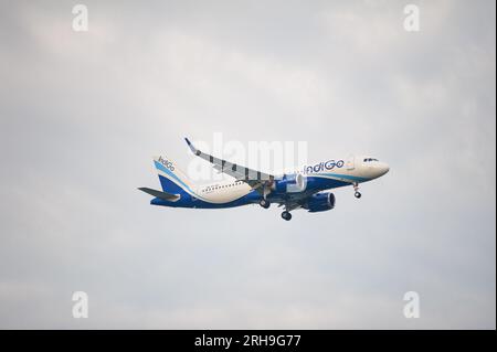 02.08.2023, Singapur, Republik Singapur, Asien - ein Indigo Airlines Airbus A320 Neo Passagierflugzeug nähert sich dem Flughafen Changi zur Landung. Stockfoto