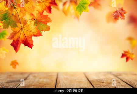 Herbstkonzept mit rot-gelben Ahornblättern. Holztisch und farbenfrohe herabfallende Blätter auf unscharfem Hintergrund. Stockfoto