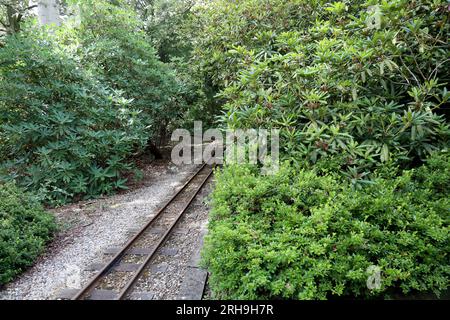 Die Gleise einer Miniatur-Dampfeisenbahn, umgeben von Wäldern Stockfoto