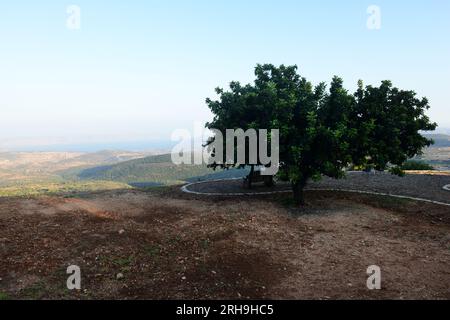 Amirey Hagalil Boutique Spa Hotel in den Bergen von Galiläa in Nordisrael. Stockfoto