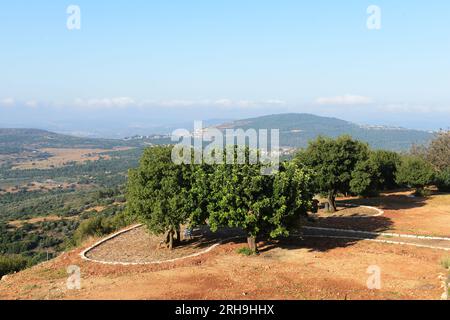 Amirey Hagalil Boutique Spa Hotel in den Bergen von Galiläa in Nordisrael. Stockfoto