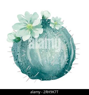 Aquarellsatz von Kakteen und Sukkulenten auf weißem Hintergrund. Blumenillustration für Ihre Projekte, Grußkarten und Einladungen. Stockfoto