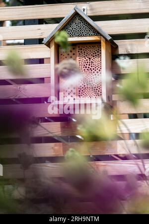 14. August 2023, Sachsen-Anhalt, Halle (Saale): Blick auf ein Insektenhotel im begrünten Innenhof der Genossenschaft Bauverein Halle im Lutherviertel. Das deutsche Bundesministerium für Bauwesen hatte die Umgestaltung des börsennotierten Genossenschaftsviertels in der Stadt Saale bis Mai 2022 durch ein energiebezogenes Nachbarschaftskonzept und ein Umbaumanagement unterstützt. Sechs Höfe sind jetzt fertig gestellt. Foto: Hendrik Schmidt/dpa Stockfoto