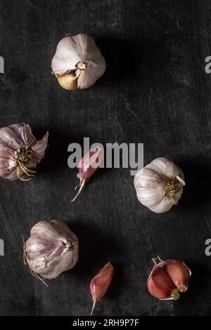 Frische Knoblauchknollen und -Zehen auf schwarzem Hintergrund. Flach verlegt. Draufsicht. Speisekonzept. Dunkle Stimmungsfotografie. Stockfoto