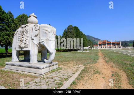 ZUNHUA - 11. MAI: Steinelefant in den östlichen Königsgräbern der Qing-Dynastie am 11. Mai 2013, Zunhua, Provinz Hebei, china. Stockfoto