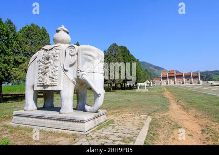 ZUNHUA - 11. MAI: Steinelefant in den östlichen Königsgräbern der Qing-Dynastie am 11. Mai 2013, Zunhua, Provinz Hebei, china. Stockfoto