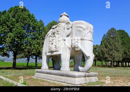 ZUNHUA - 11. MAI: Steinelefant in den östlichen Königsgräbern der Qing-Dynastie am 11. Mai 2013, Zunhua, Provinz Hebei, china. Stockfoto