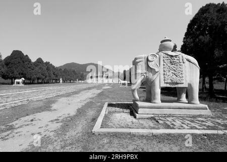ZUNHUA - 11. MAI: Steinelefant in den östlichen Königsgräbern der Qing-Dynastie am 11. Mai 2013, Zunhua, Provinz Hebei, china. Stockfoto