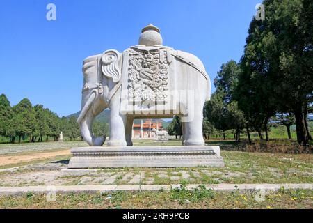 ZUNHUA - 11. MAI: Steinelefant in den östlichen Königsgräbern der Qing-Dynastie am 11. Mai 2013, Zunhua, Provinz Hebei, china. Stockfoto