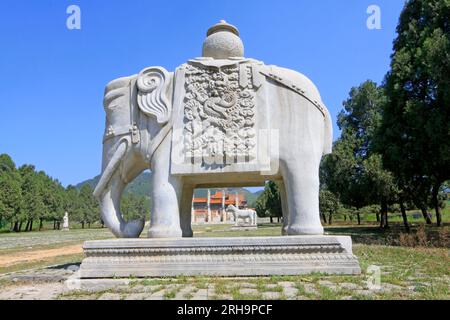 ZUNHUA - 11. MAI: Steinelefant in den östlichen Königsgräbern der Qing-Dynastie am 11. Mai 2013, Zunhua, Provinz Hebei, china. Stockfoto