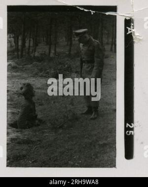 SS-Fotograf, Hofstäter (1943) Himmler, beobachtete Angriffsgewehr und Ameisenpanzer-Range-Training. Stockfoto