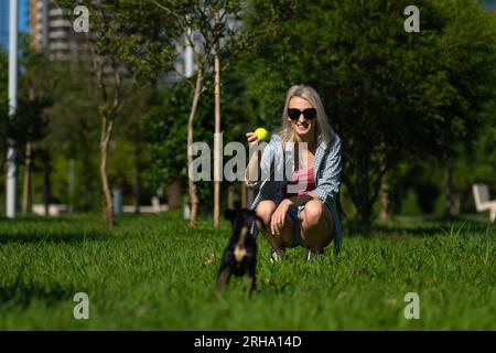 Eine junge, lächelnde blonde Frau in Sonnenbrille, Shorts und Hemd wirft einen gelben Ball zu einem Spielzeugterrier auf dem Gras im Park. Draußen mit einem Haustier zu spielen Stockfoto