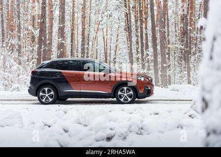 Seitenansicht der Peugeot 3008 GT-Line. Braun-schwarze SUV-Kreuzung im Winterwald, schneebedeckte Kiefern im Hintergrund Stockfoto