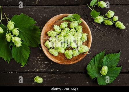 Gepflückte pflanzliche Heilpflanze Humulus lupulus der gemeine Hopfen oder Hopfen. Hopfen Blumen in Holzschale auf schwarzem Holz Hintergrund, drinnen zu Hause. Flache Lagenansicht. Stockfoto