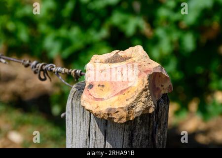 Probe von Boden, Feuerstein, Weinbergen der Pouilly-Fume-Appellation, Herstellung von trockenem Weißwein aus sauvignon Blanc Trauben, die auf verschiedenen Arten von wachsen Stockfoto