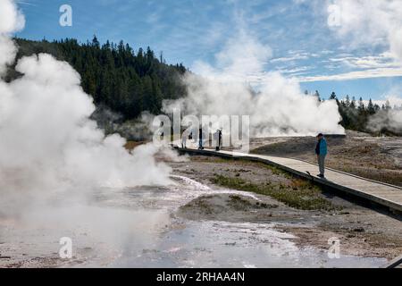 Dampf über dem Upper Geyser Basin, Yellowstone-Nationalpark, Wyoming, Vereinigte Staaten von Amerika Stockfoto